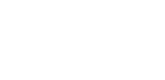 ALIX-SUBLINE-logo-weiss-72dpi